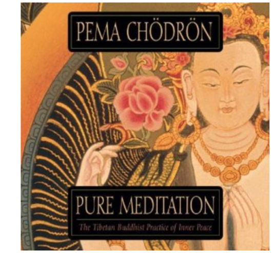 My big promise to myself in the new year is that I will mediate each morning. I will need a boost, some mediation tapes from audible are a great gift. And Pema Chodron is the best.